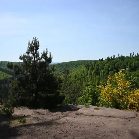 Les Hirondelles 民宿