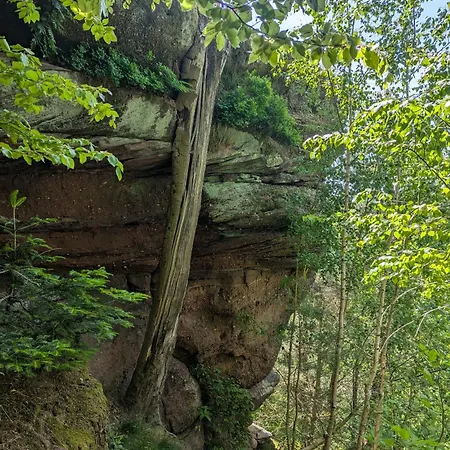 民宿 Les Hirondelles